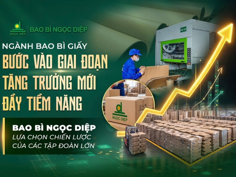  C&ocirc;ng ty sản xuất bao b&igrave; giấy Ngọc Diệp
