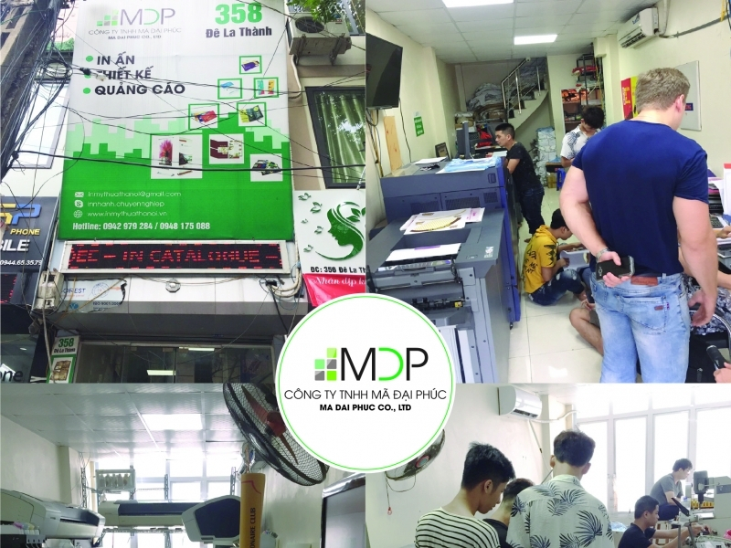 C&ocirc;ng ty TNHH M&atilde; Đại Ph&uacute;c