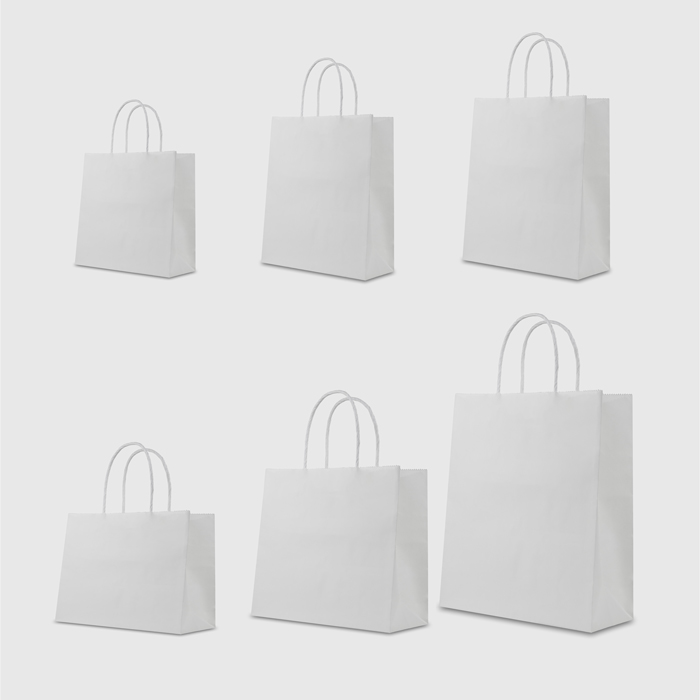 Túi kraft trắng quai xoắn trắng