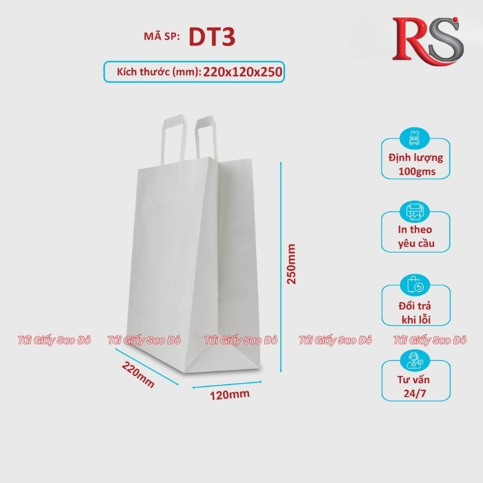 Túi kraft trắng quai dẹt trắng