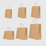 Túi kraft nâu quai xoắn nâu