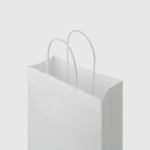 Túi kraft trắng quai xoắn trắng