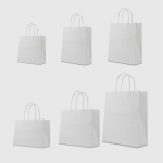 Túi kraft trắng quai xoắn trắng