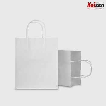 Túi giấy Kraft không in