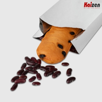 Túi lót nhôm bên trong